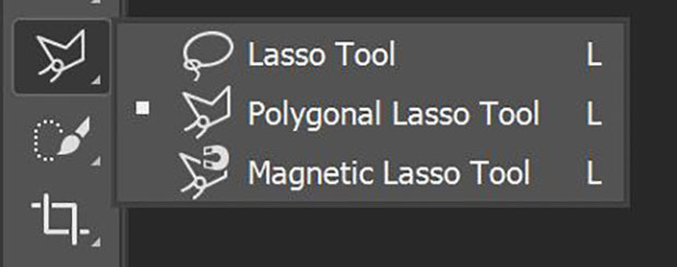 does adobe illustrator have a lasso tool